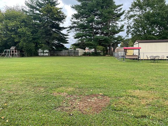 back yard