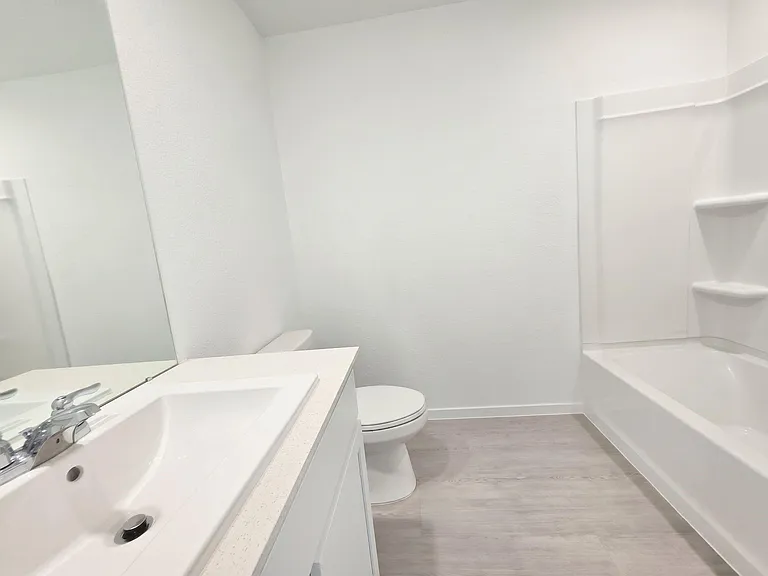 26818 Zebra Grass Dr — Photo 11