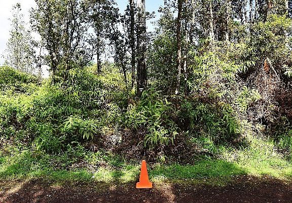 4th image of Aloha Dr Lot 15