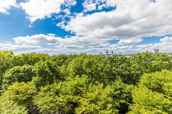 Rented by MNS | media 12