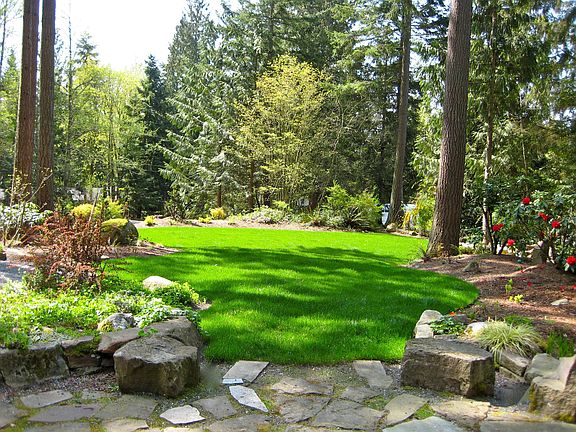 Front yard