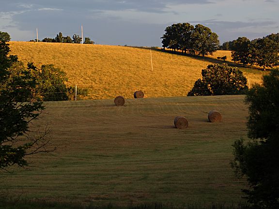 View from front deck