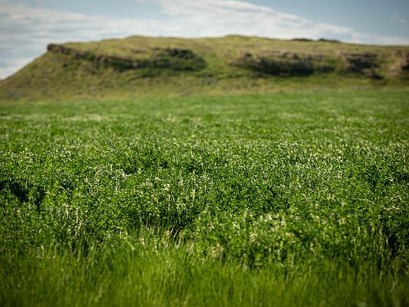 5th image of 289 Hailstone Basin Rd