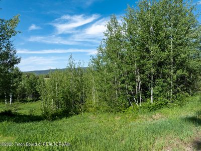 38 Blackfoot Trl, Victor, ID, 83455