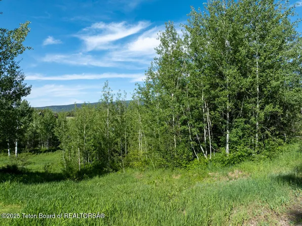 38 Blackfoot Trl, Victor, ID 83455