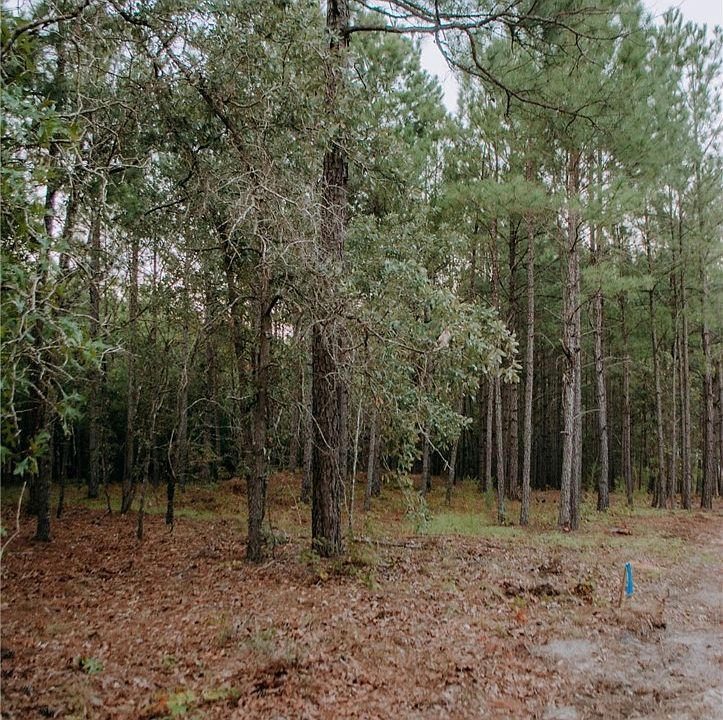 2nd image of LOT 1 Nighthawk Loop