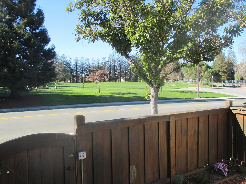 Inside your yard with view to Serra Park