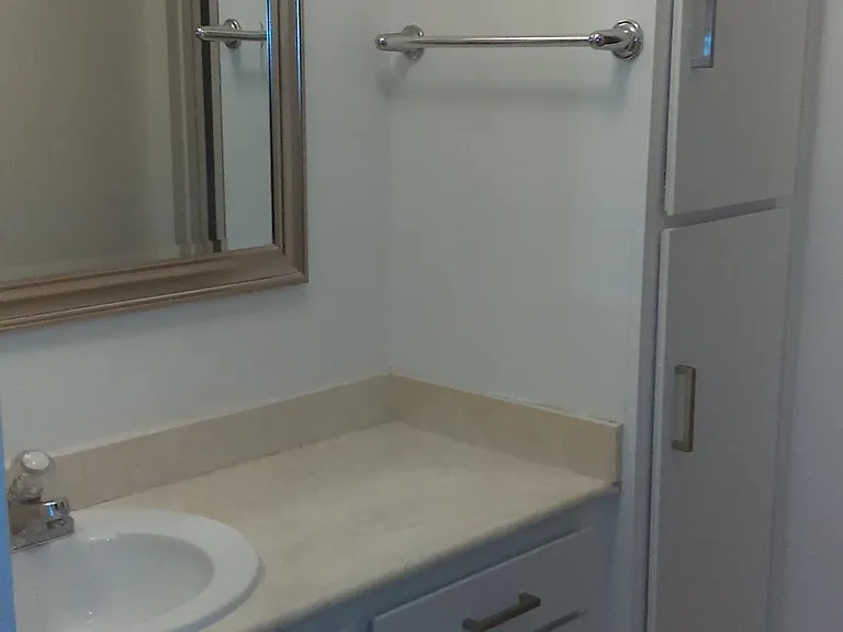 Bathroom vanity area