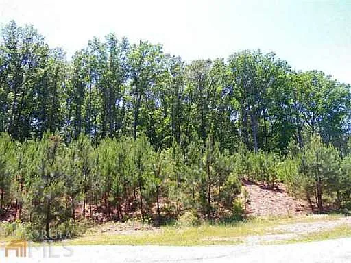 530 Gold Rush Ct photo 1