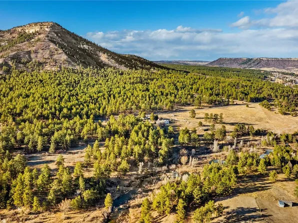 436 Fox Farm Road, Larkspur, CO 80118