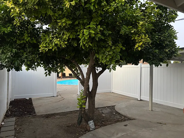 4351 Salerno Dr — Photo 15