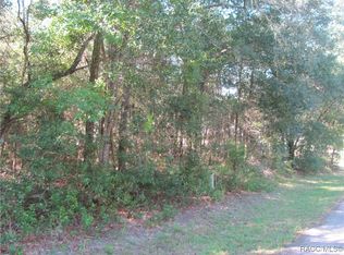 1264 E Getty Ln, Hernando, FL 34442