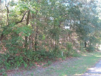 1264 E Getty Ln, Hernando, FL, 34442