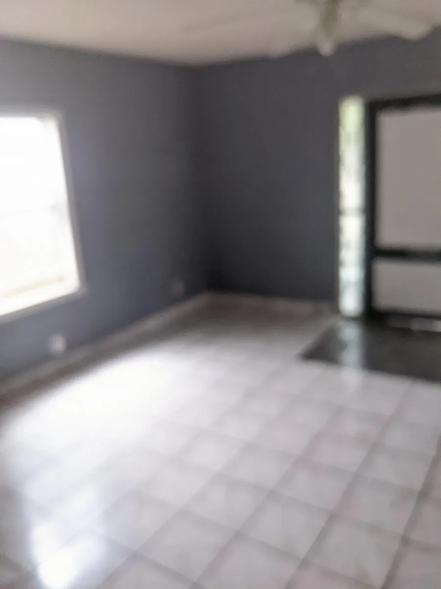 Building Photo - 1711 Ceralvo St