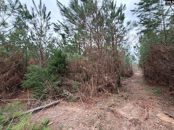 5th image of Bff Ii 5 Brunson Teal Rd