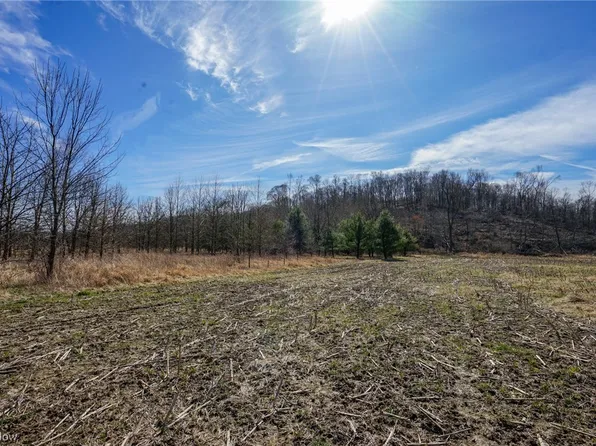 LOT 1 Adamsville Otsego Rd, Adamsville, OH 43802