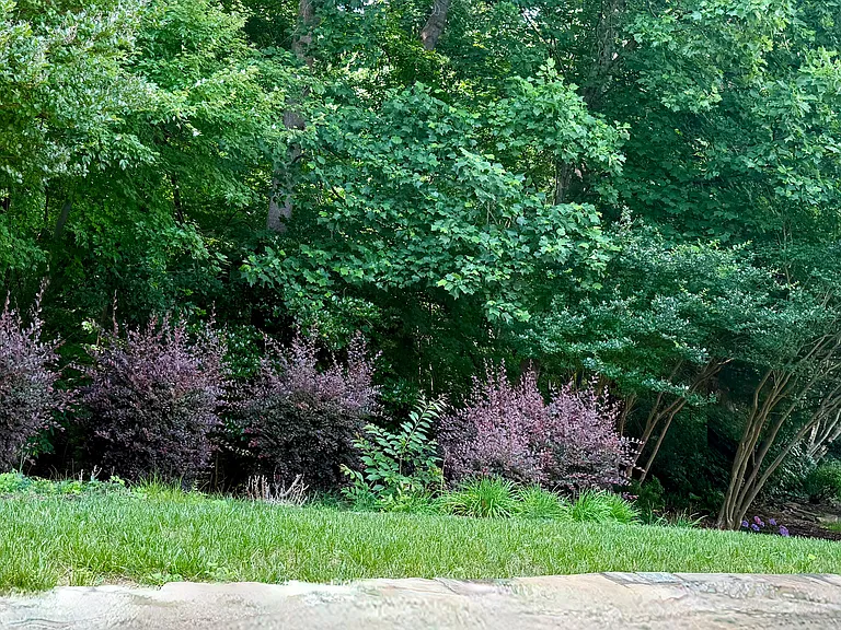3915 Sunset Maple Ct — Photo 36