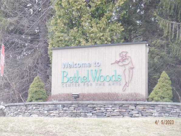 Hurd Tr 48 Road, Bethel, NY 12720