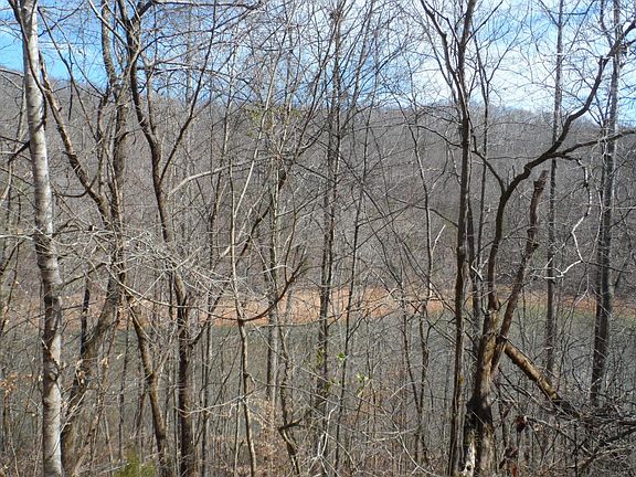4th image of 1020 Hiwassee Dr