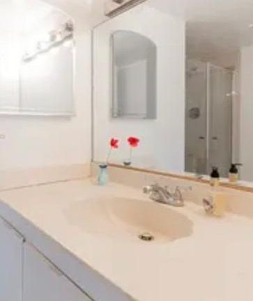 3rd image of 18181 NE 31st Ct APT 2503