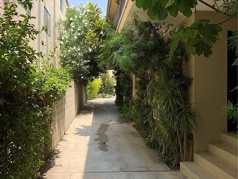 611 E Maple St #3 — Photo 5