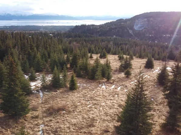 55675 W Benjamin Ave, Homer, AK 99603