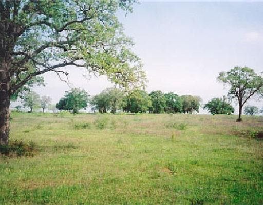4th image of 0 HWY 90