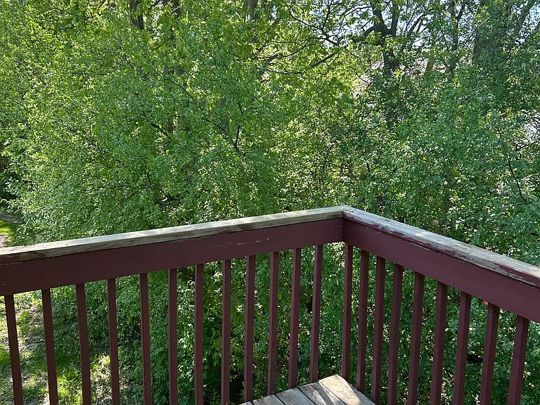 5591 Tall Pines Pkwy #4 — Photo 11