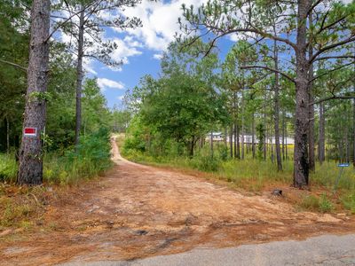 0 John Travis Rd, Poplarville, MS, 39470