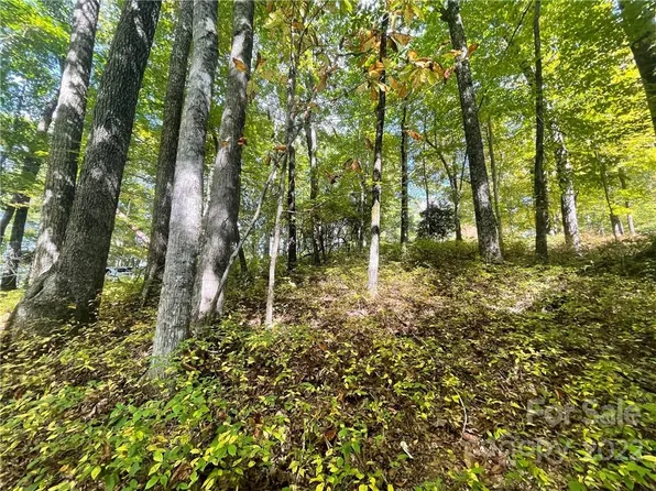 9999 Cheestoonaya Way #42A, Brevard, NC 28712