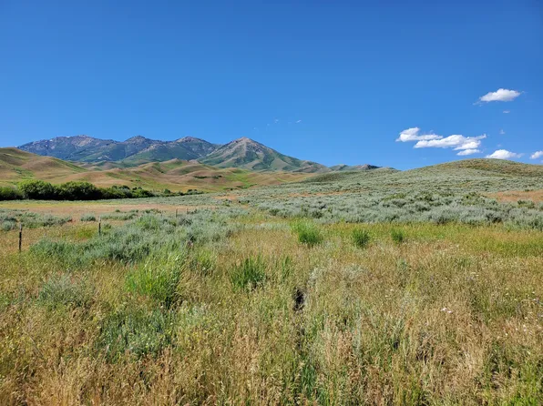 Homestead Road Appalossa Drive County Road & Brg, Fairfield, ID 83327
