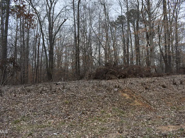 LOT 10 Jones Ridge Rd, Speedwell, TN 37870
