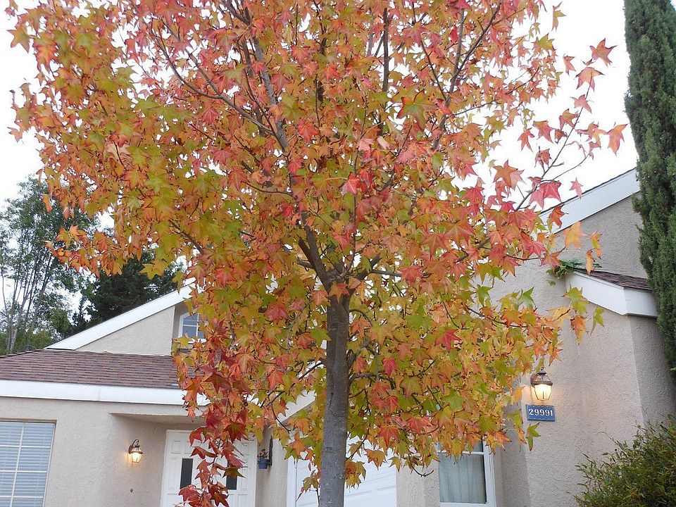 2nd image of 29991 Happy Sparrow Ln