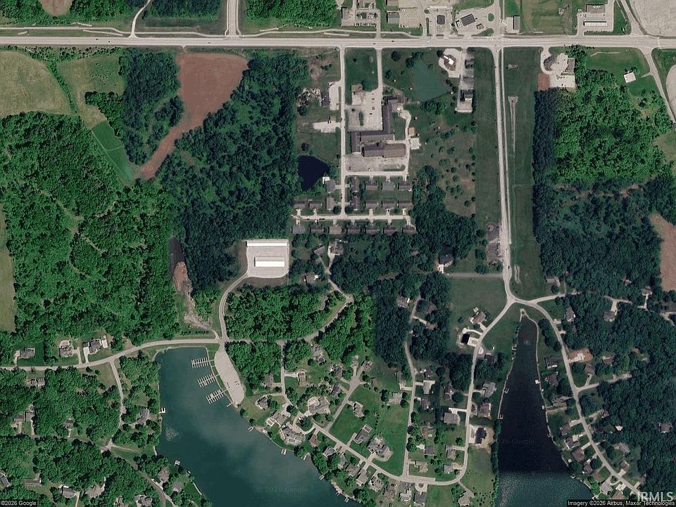 2nd image of Fir Tree Cir