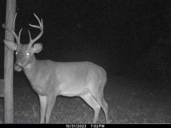 Highway 39 N, De Kalb, MS 39328