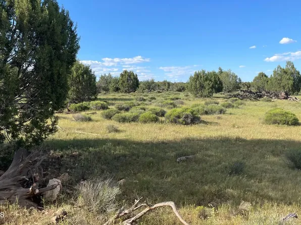 886 Westwood Rnch, Williams, AZ 86046