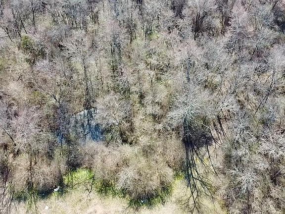 3rd image of 332 Walden Rd