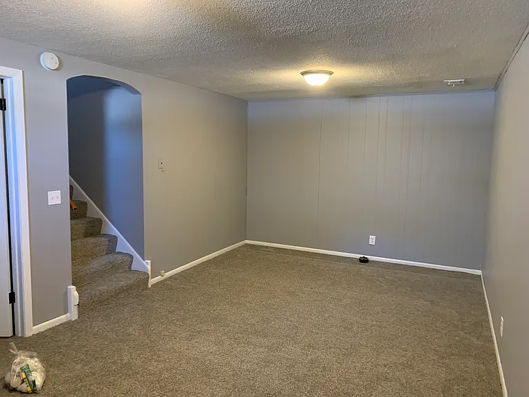 Downstairs Living Room 20'x11'