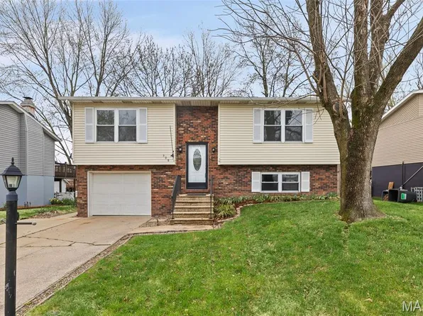308 Las Olas Dr, Belleville, IL 62221