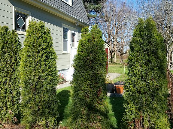 Off the kitchen is a potted herb and vegetable garden a