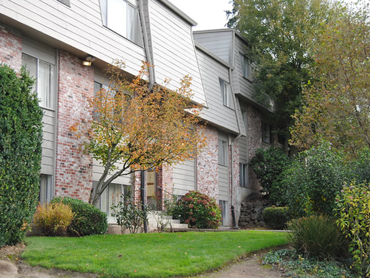 Fir Terrace — Photo 4