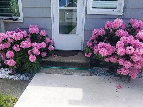 Spring flowers.