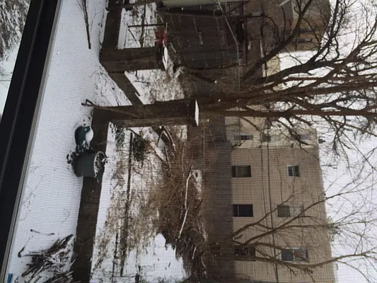 Rented by Corcoran | media 14