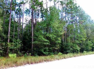 860 NW 62nd Ct, Bell, FL 32619