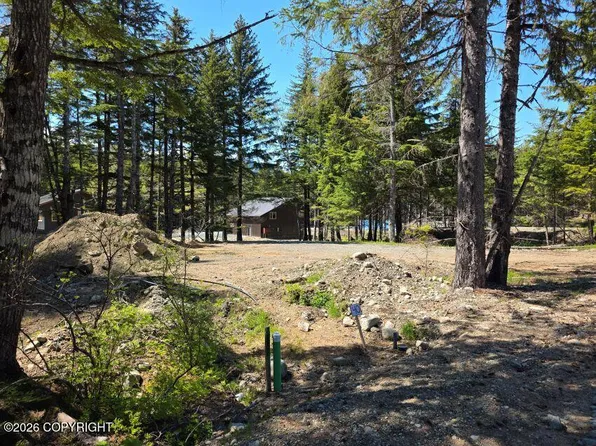 LOT 40 Martin Ave, Haines, AK 99827