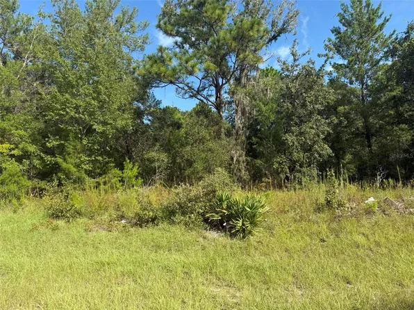 79th Terrace Rd Lot 61, Dunnellon, FL 34432