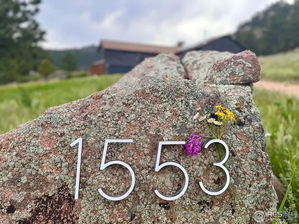 1553 Rowell Dr, Lyons, CO 80540