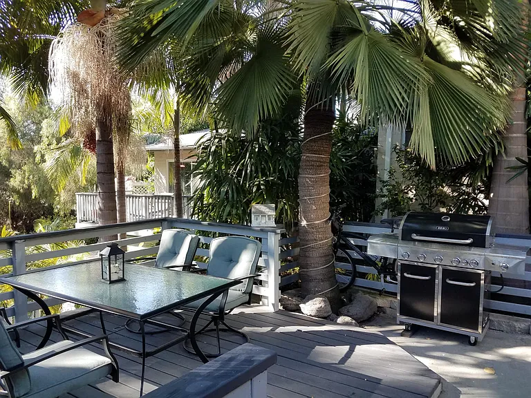 Outdoor patio and barbecue