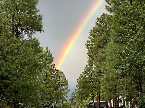 After the rain