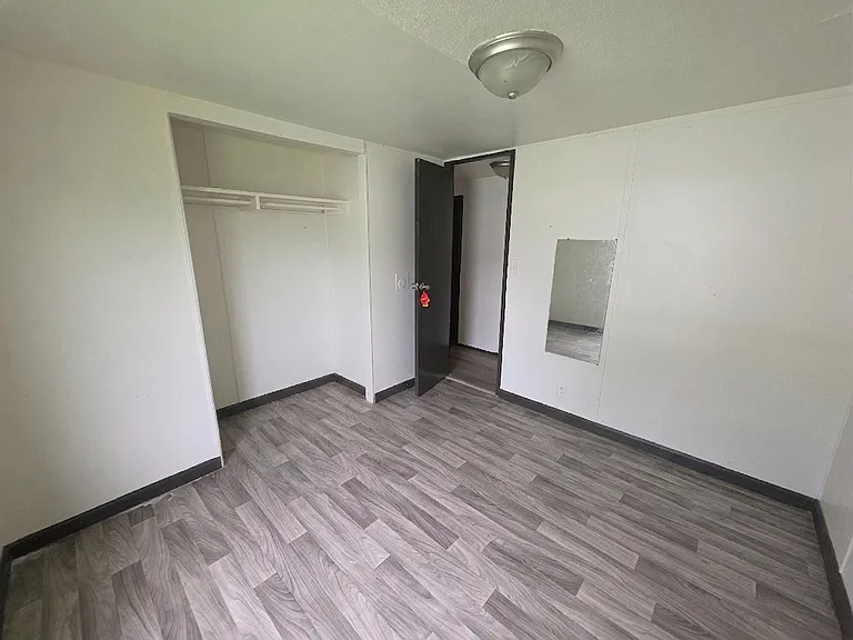 Swan Lake - Rent to Own — Photo 51